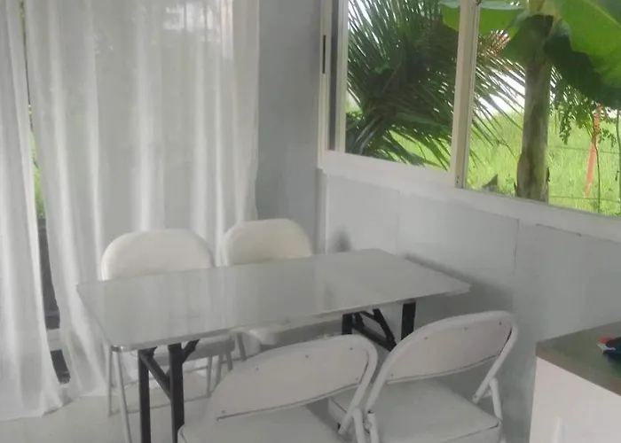 Bay Ellie Tiny Vakantiehuis